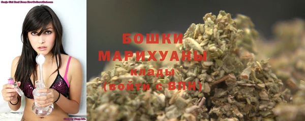 стаф Костерёво