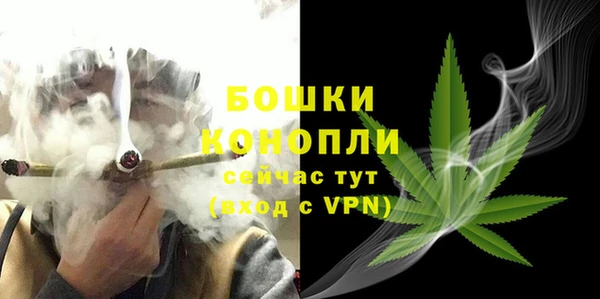 стаф Костерёво