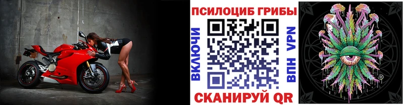 Галлюциногенные грибы прущие грибы Купить Сычёвка